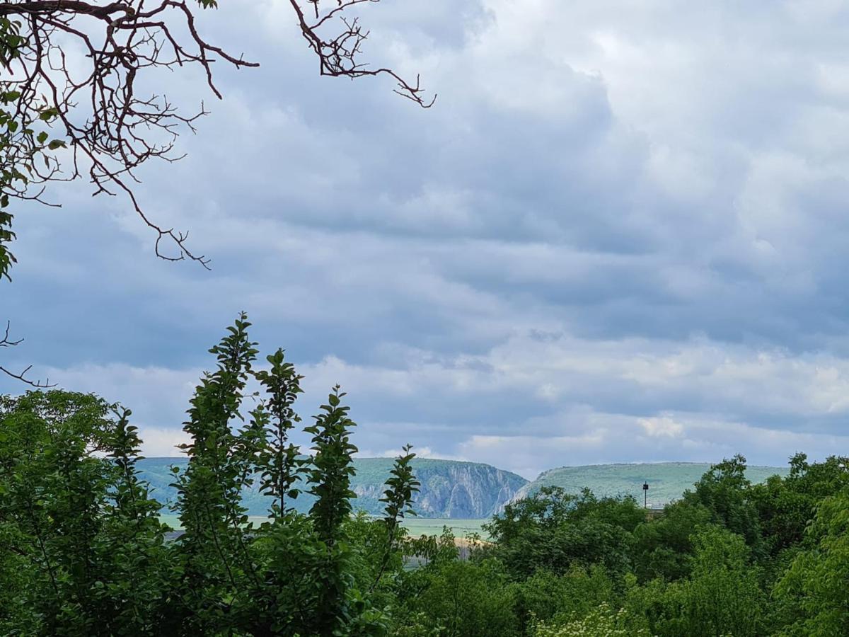 Bella Vista Bungalow Turda Buitenkant foto
