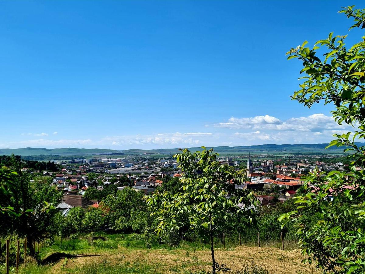 Bella Vista Bungalow Turda Buitenkant foto